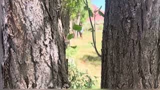 Crossroads (Official Visualizer)